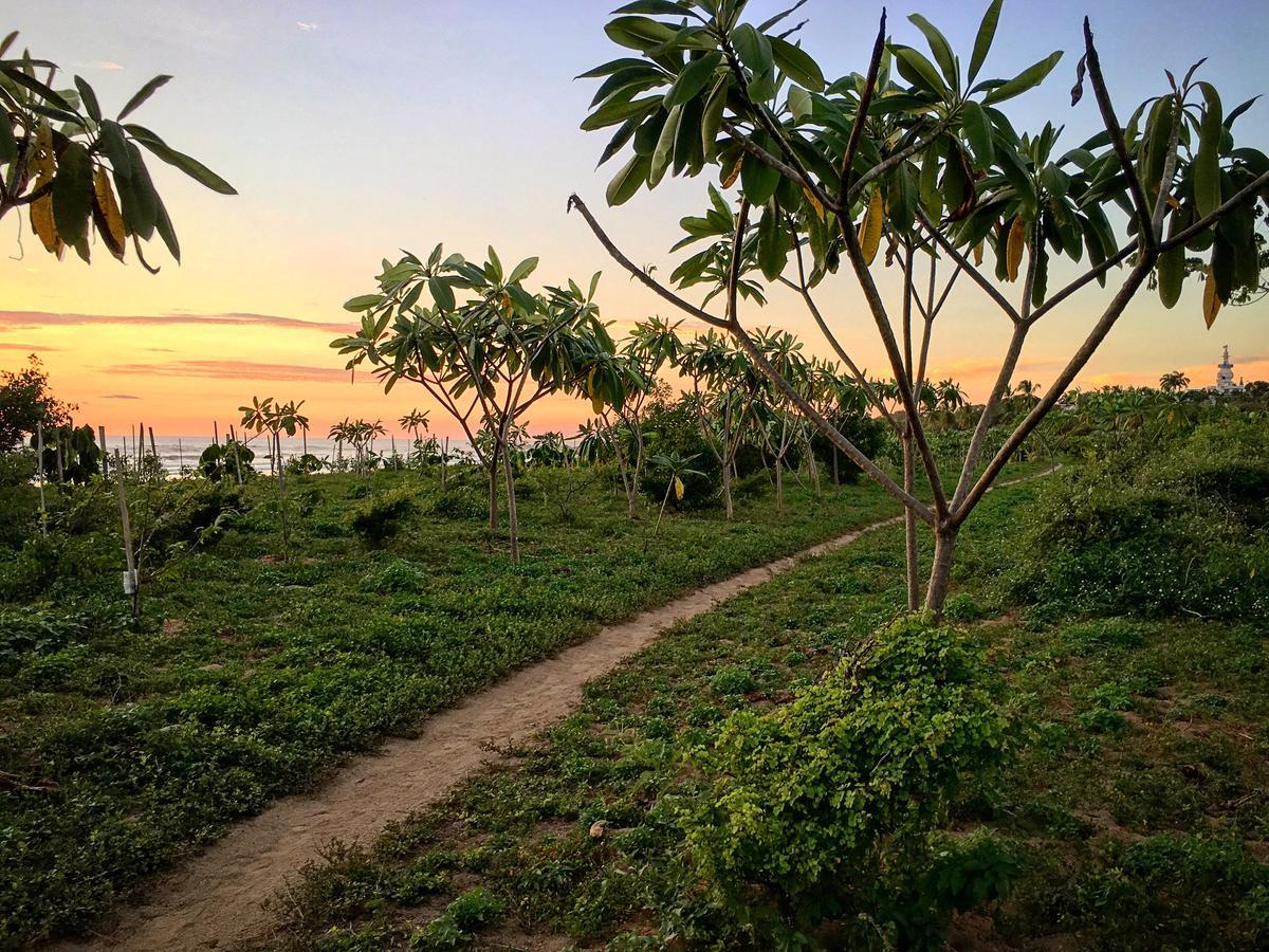 Villa Tortuga Nosara Luaran gambar